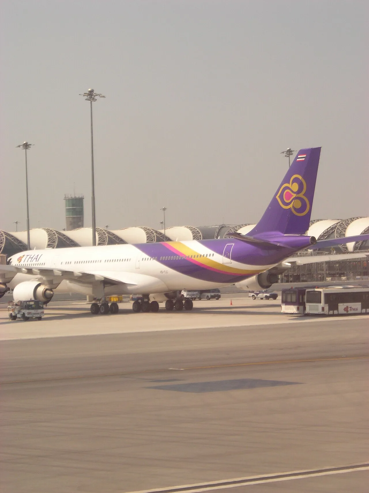Thai Airways aircraft in current livery.